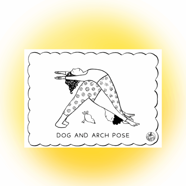 Partner Yoga Cards